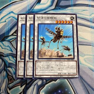 砂漠の飛蝗賊 N