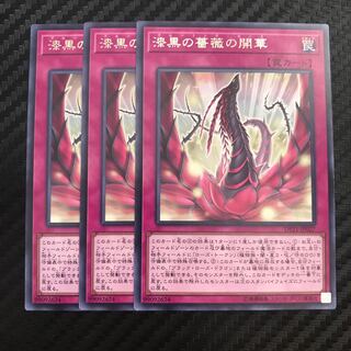 漆黒の薔薇の開華 レア