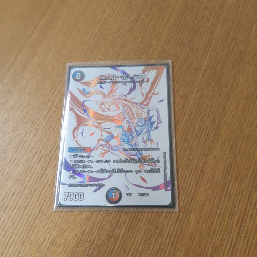 最安値!ニコル・ボーラス