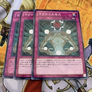 マクロコスモス3枚