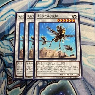 砂漠の飛蝗賊 N