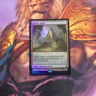 燃えがらの林間地 1枚