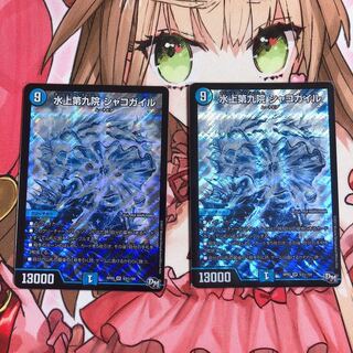 水上第九院 シャコガイル 2枚