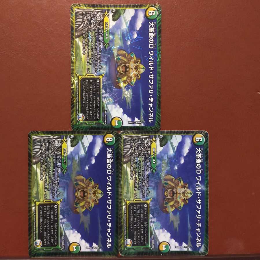 セット割引 大革命のD ワイルド・サファリ・チャンネル