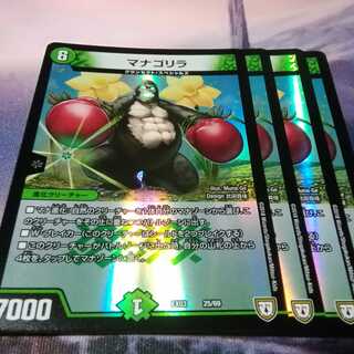 マナゴリラ　４枚