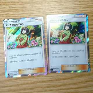 エリカのおもてなし2枚セット