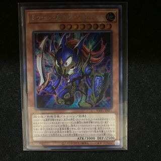 トゥーンカオスソルジャー