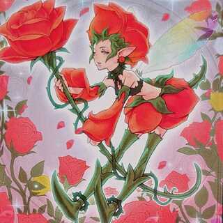 【募集用】バラガール 無限回収 新弾