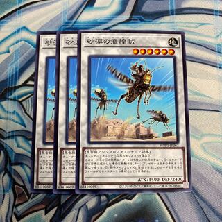 砂漠の飛蝗賊 N