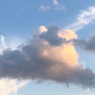 まうぞう様専用