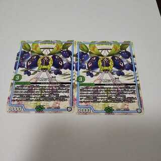 スカップⅢ　2枚 2枚