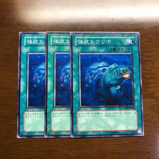 強欲なウツボ ノーマル 3枚