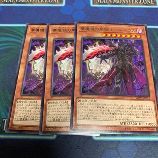 Black Knight Rupeus of Nightmare Mirror