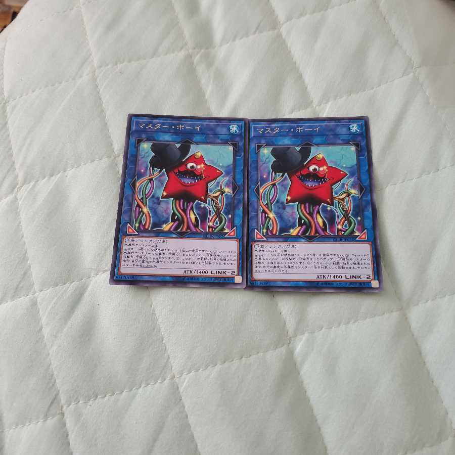 マスターボーイ