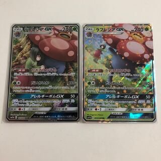 ラフレシアGX SR RR