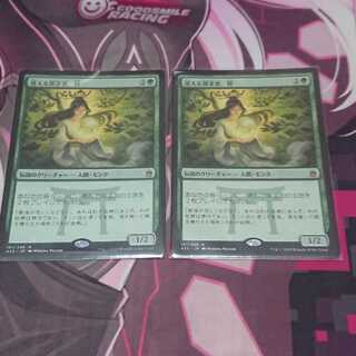 迷える探求者、梓 2枚