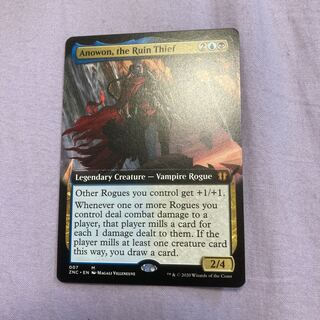 Anowon, the Ruin Thief English Extension Art