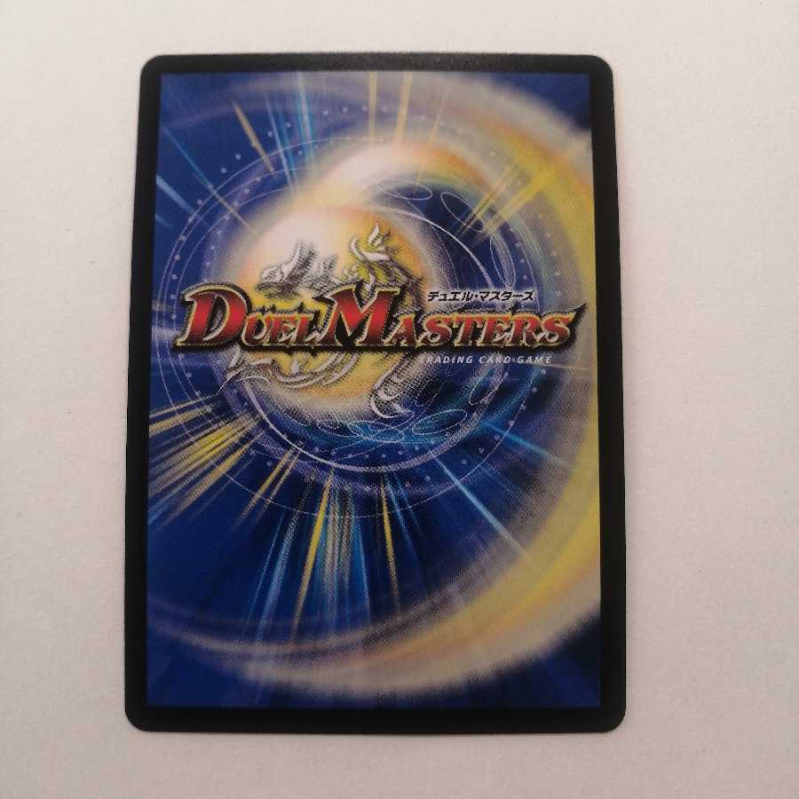 「絶対の楯騎士」 アブソリュートシールドナイト