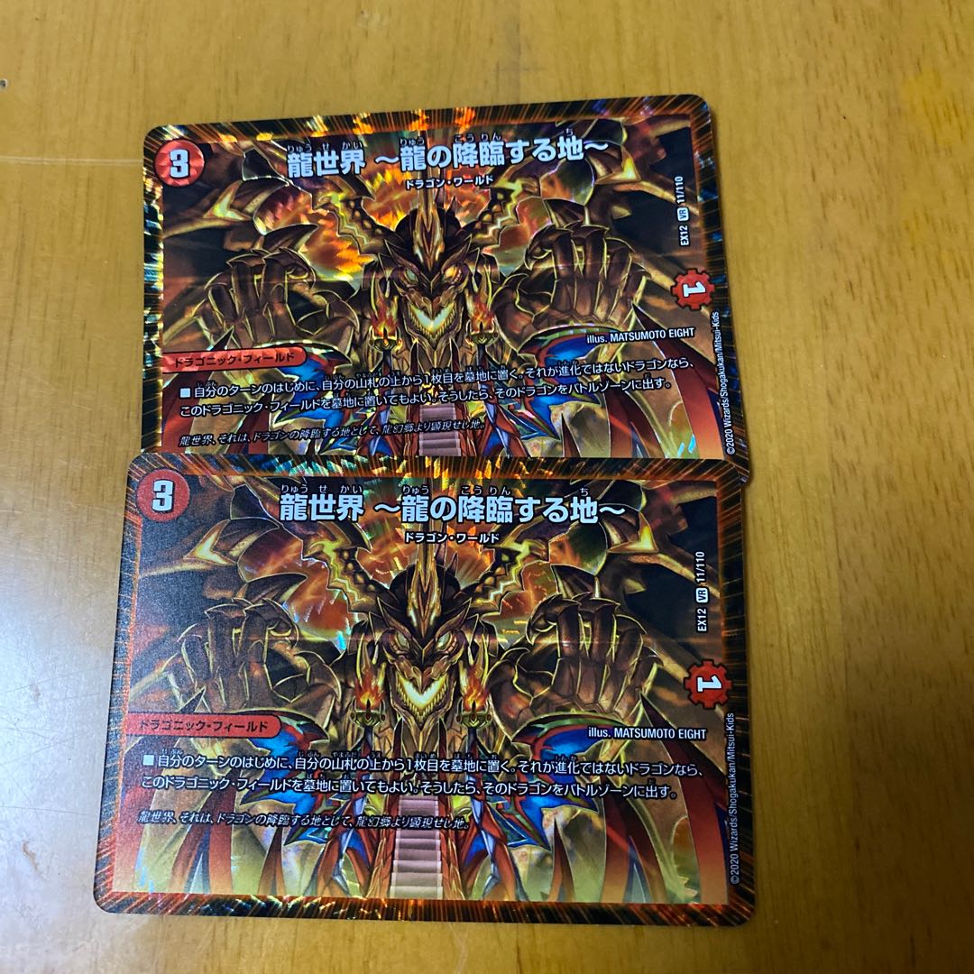 龍世界 -龍の降臨する地- VR二枚セット