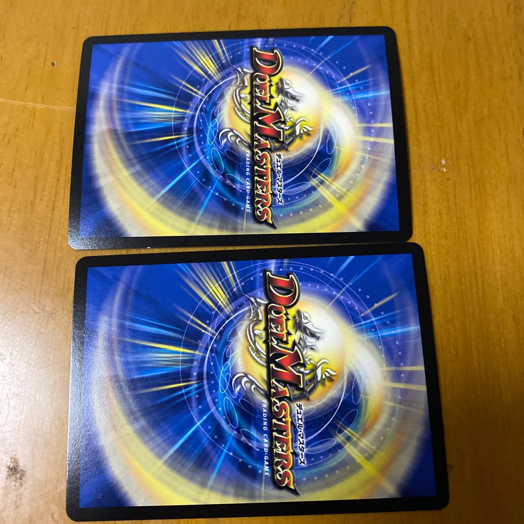 龍世界 -龍の降臨する地- VR二枚セット