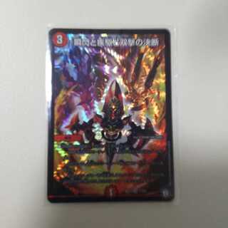 瞬閃と疾駆と双撃の決断 1枚