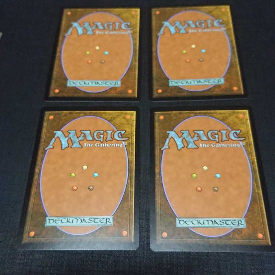 孫堅さん専用 Foil 禁忌の果樹園 一枚