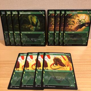 緑　拡張　コモン セット