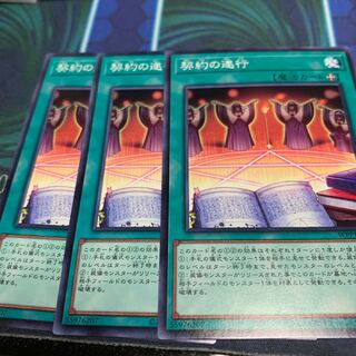 Execution of the Contract