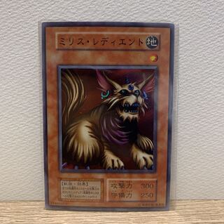 Milus Radiant Super Early