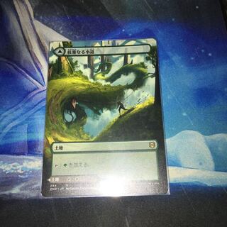 MTG 枝重なる小道　拡張