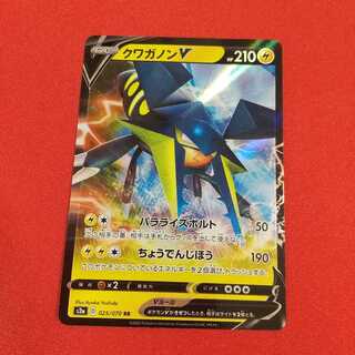 クワガノンV RR 外《ふぁらお様専用》