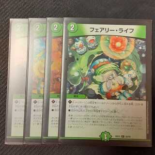 フェアリーライフ 4枚