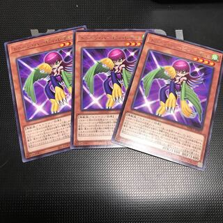 トゥーン・ハーピィ・レディ 3枚