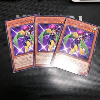 トゥーン・ハーピィ・レディ 3枚