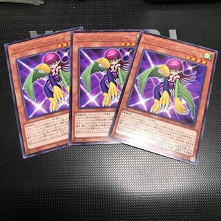 トゥーン・ハーピィ・レディ 3枚