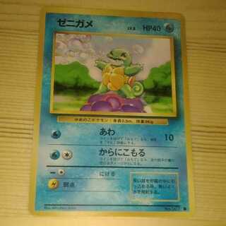 【完美品】ゼニガメ