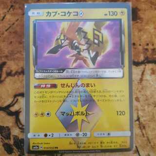 カプ・コケコ◇　サンダーマウンテン