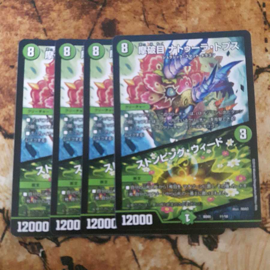 摩破目 ナトゥーラ・トプス|ストンピング・ウィード