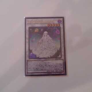 ガーデン・ローズ・メイデン