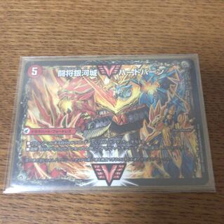 ハートバーン/ガイネクスト 1枚