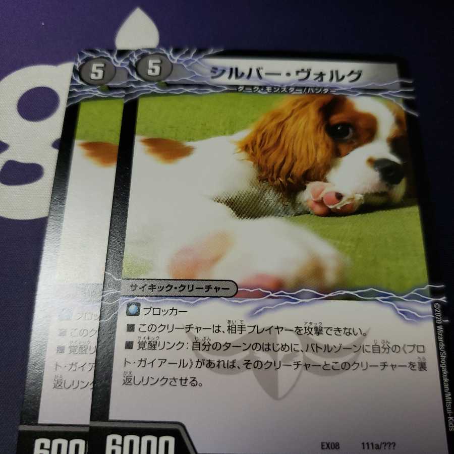 シルバー・ヴォルグ|撃墜王ガイアール・キラードラゴン(下)