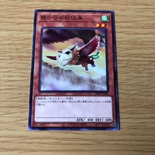 霞の谷の幼怪鳥 ノーマル