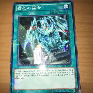 Return of the Dragon Lords