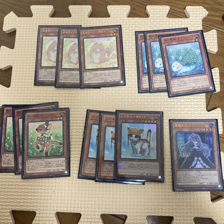 森のメルフィーズ　デッキ