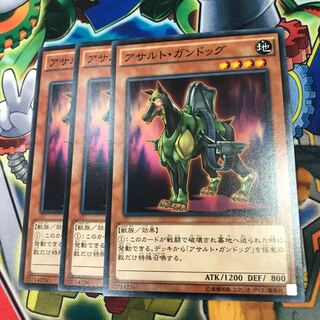 アサルト・ガンドッグ　3枚