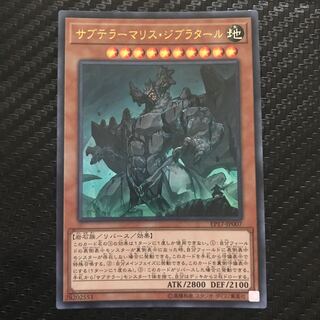 サブテラーマリス・ジブラタール ウルトラレア