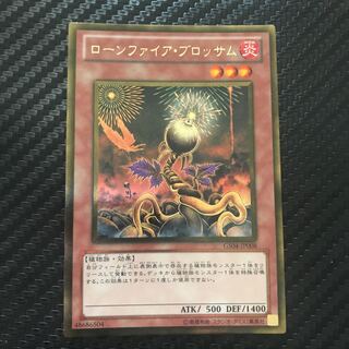 ローンファイア・ブロッサム ゴールドレア