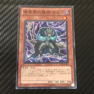 暗黒界の導師 セルリ スーパーレア