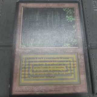 bayou フランス　黒枠