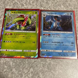 メガニウム、ラグラージ